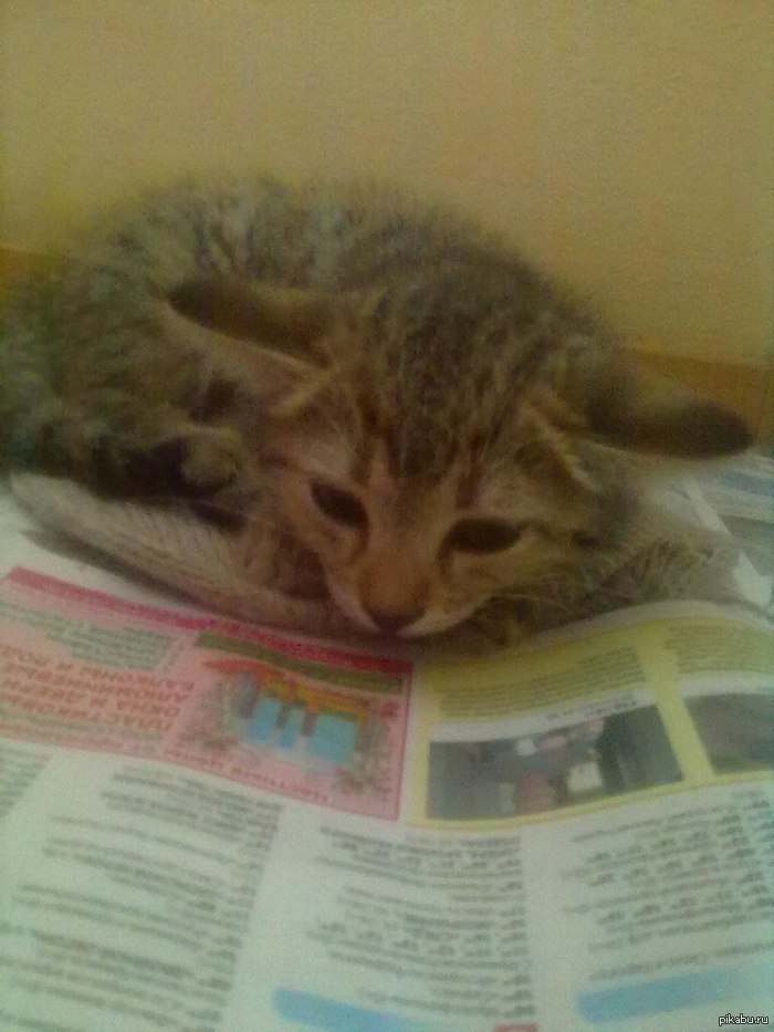 �����������! ������������ ����� �� ����� �������, �������� � ���� ���� ��� �����������, ��������� �����, �������� � ���� �����, ����� ������