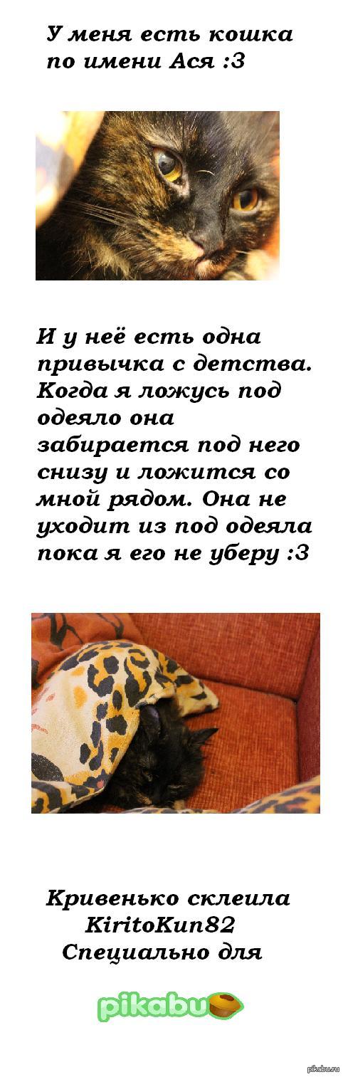 ��� ������� :3