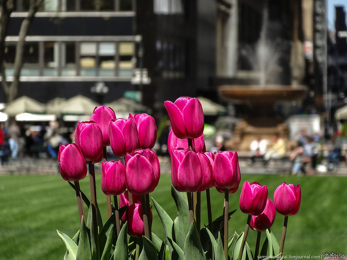 вСЕМ ЦВЕТОВ...