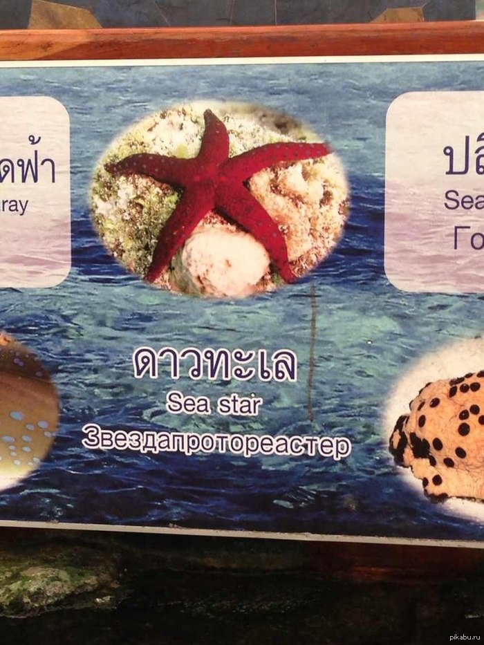 Типичный Тайланд | Пикабу