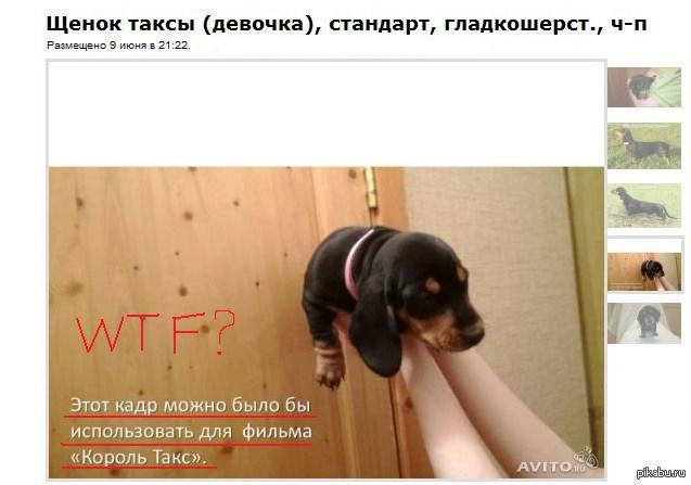 ������ �������� ��������� ����� �������....