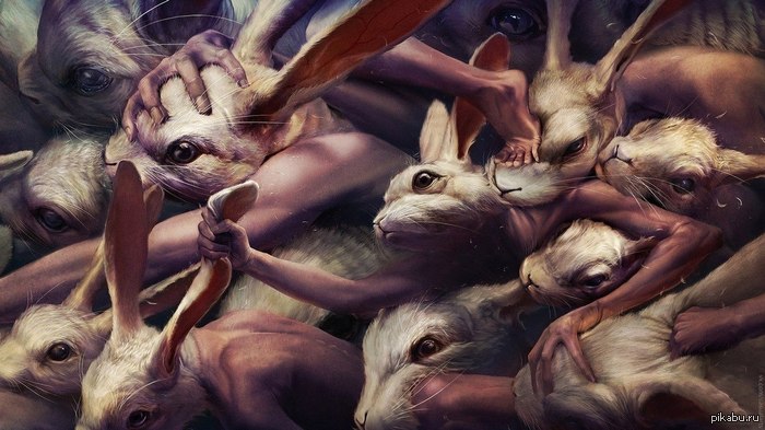 Ryohei Hase  -    ?)))