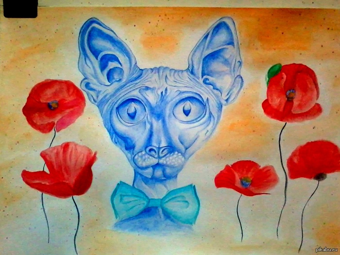 Вот такой вот вышел кот или не спалось ночью...