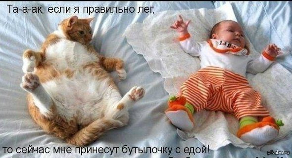 ��� ������ �� ���, ����� �������� ��, ��� ��� �����