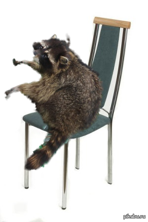 �������� � ������ ��������.