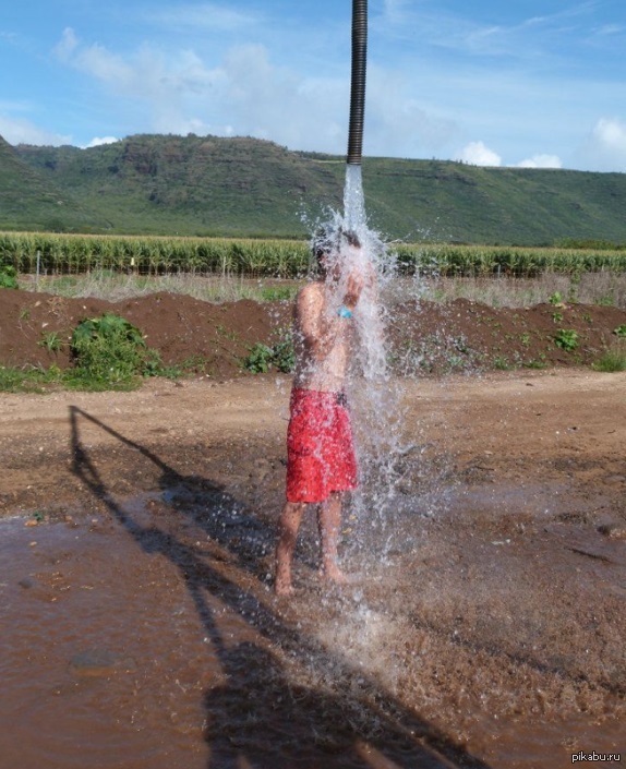 С виду безобидное фото, но...