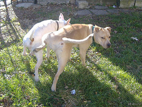 ׸ �� ���������?