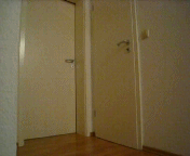 А мой кот до сих пор метит ковер