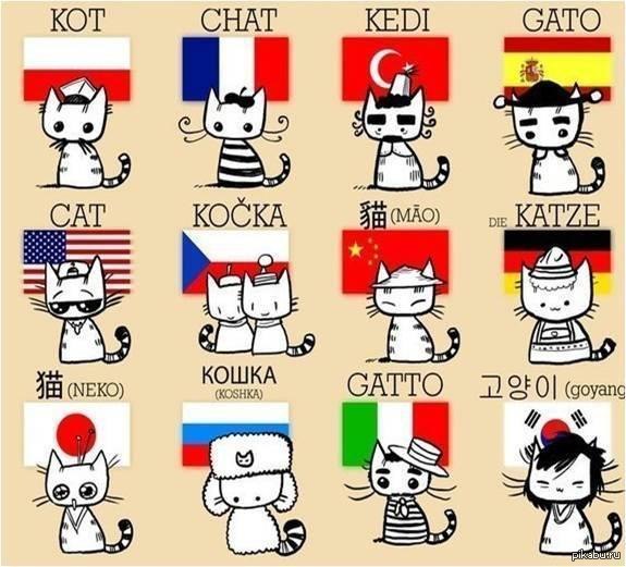 � ����� � ��� ���?