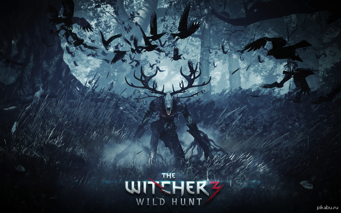 The Witcher 3 official art #2 19201200    - 