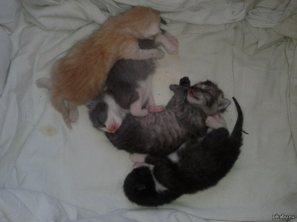 Подросли мальки *.*