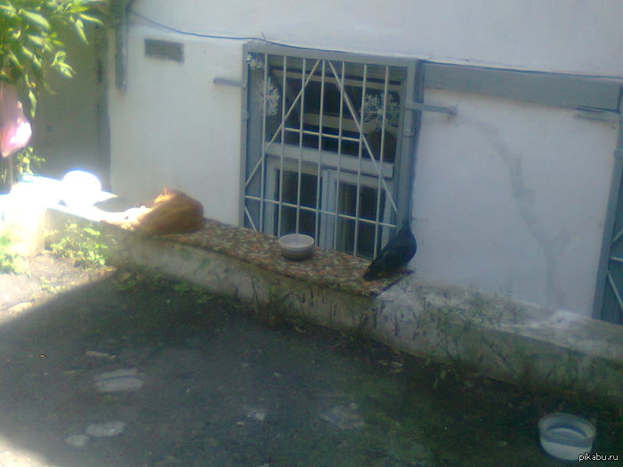 �������� over 9999999