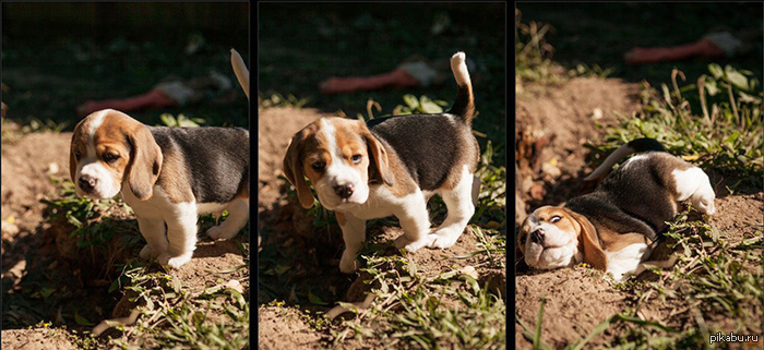 Going... Going... Gone