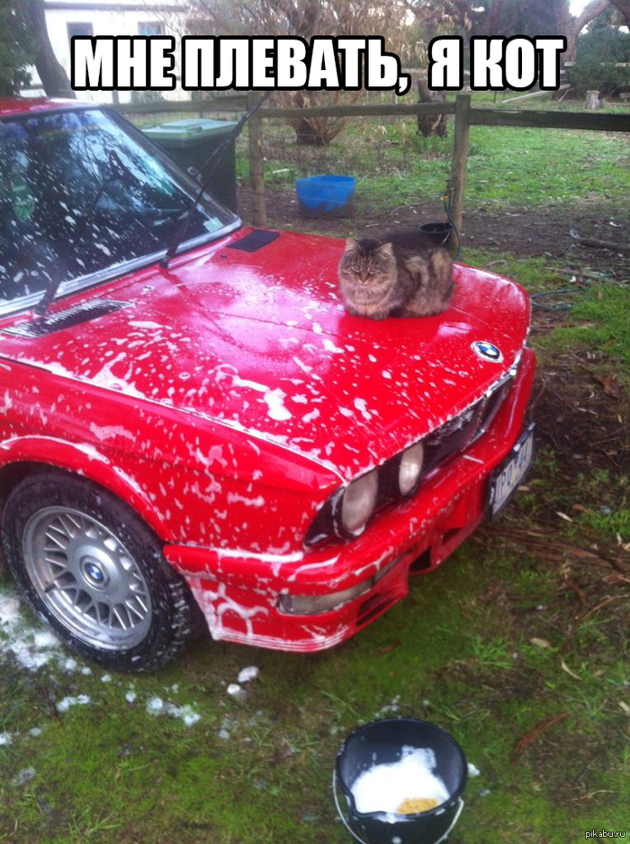 ������ �� � ���?