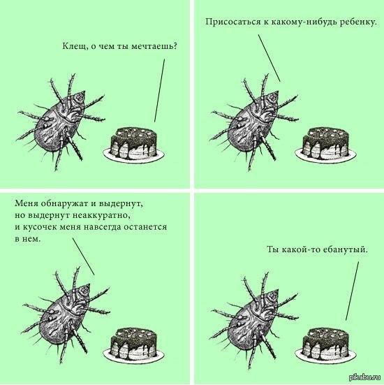 �� �� ���� �������� ����)