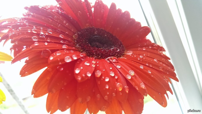 Учусь фотографировать.