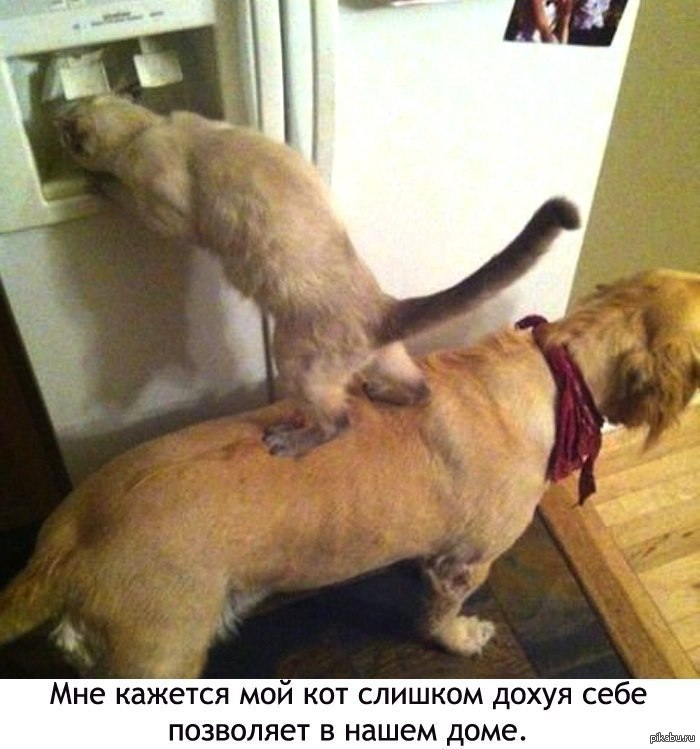   ! 