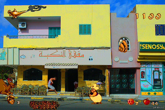 Отчёт о поездке в Египет