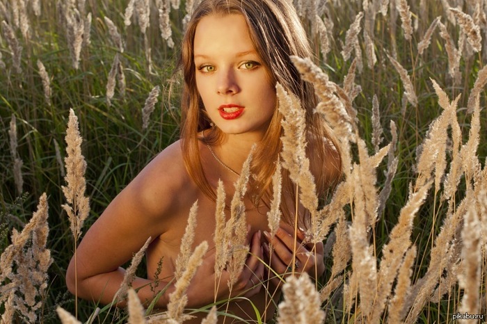 From personal archive - My, Beautiful girl, NSFW, Field