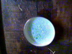 ��������  ������