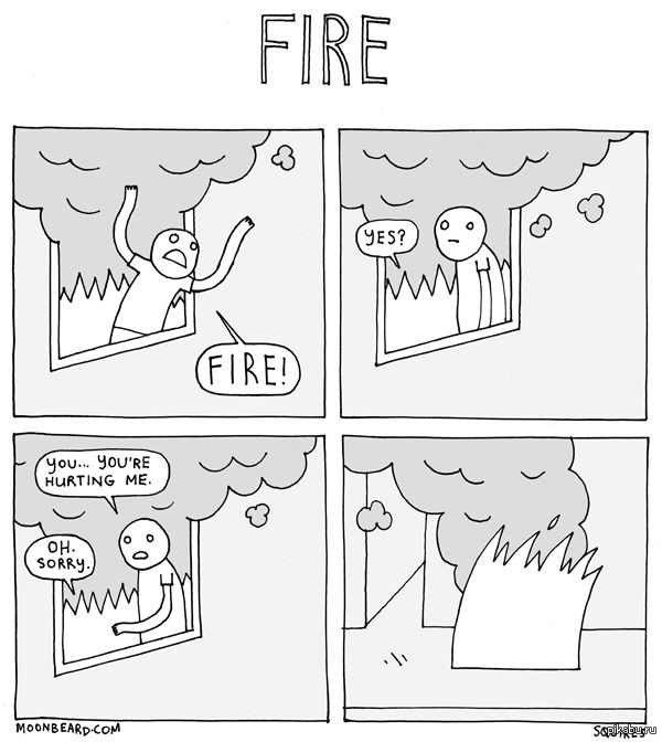 *��������*