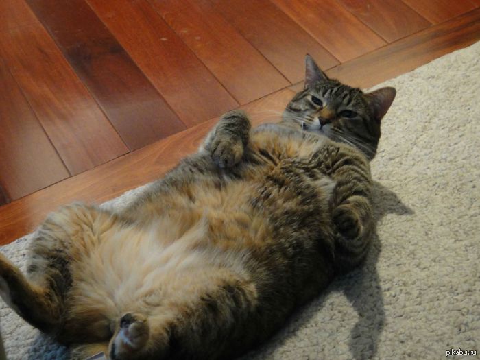 ��� �������. � ��� ����. ��� ��� �����. �� ��� ��� �����.