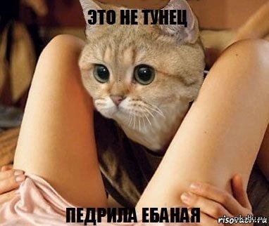 ....