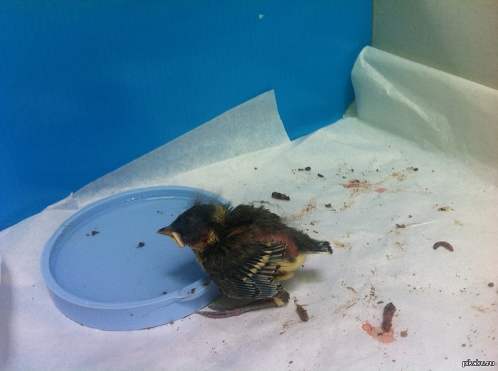 ������� ����� �� ������