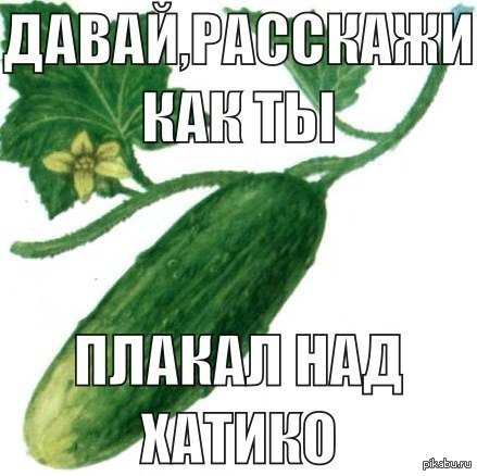 Немного бреда