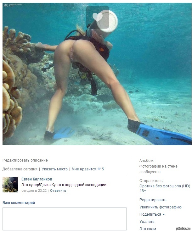 Comment))) - Erotic, My, Comments, Jacques Yves Cousteau, NSFW