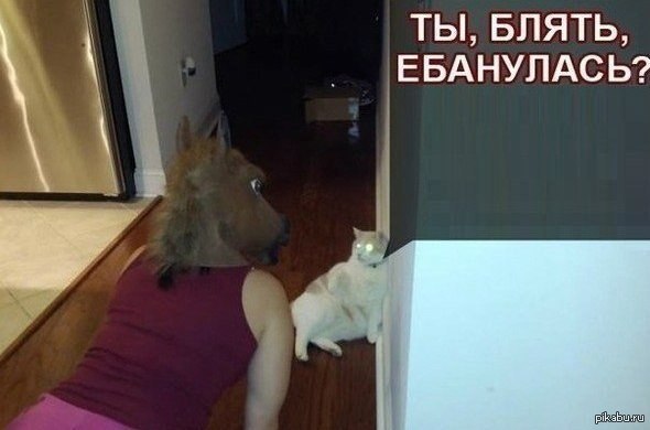 � ���� �������� � ����. ���� �������� ���