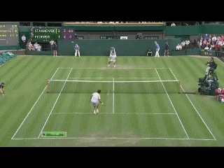 Федерер чуть не убил Стаховского.