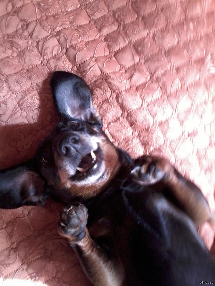 � ���� �������� ������� ���� �������� =)