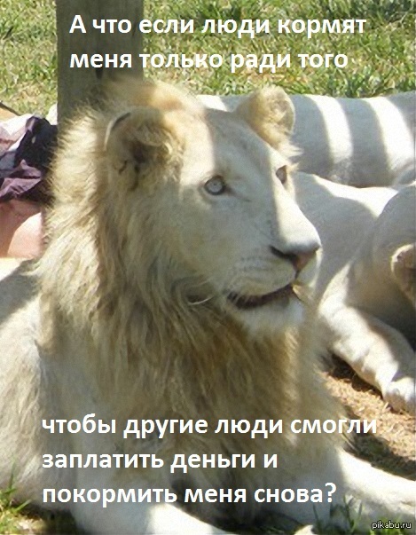 "А что если...?"