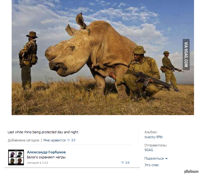 Сейчас ночь, а значит можно запилить немного расизма)