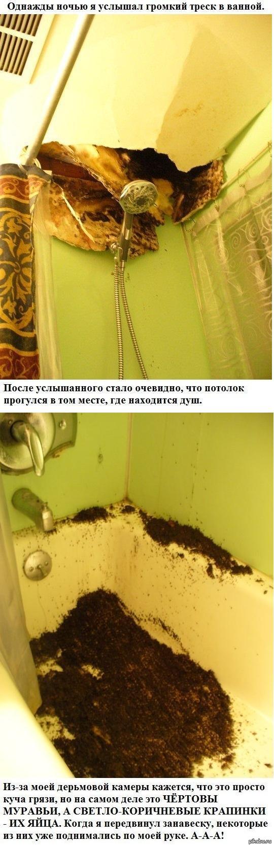 ���, �������...