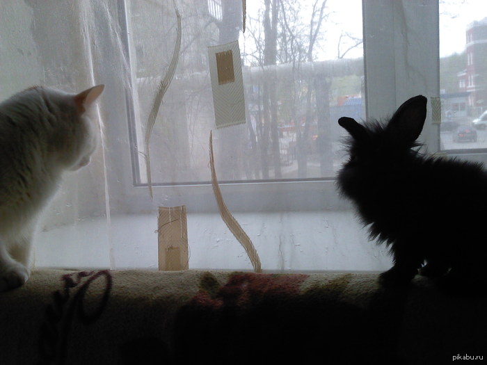 ��� �����.