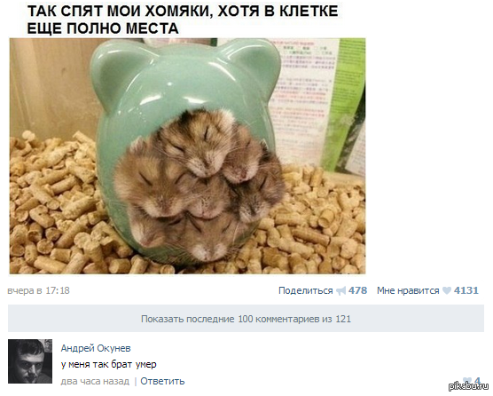 Коммент вк | Пикабу