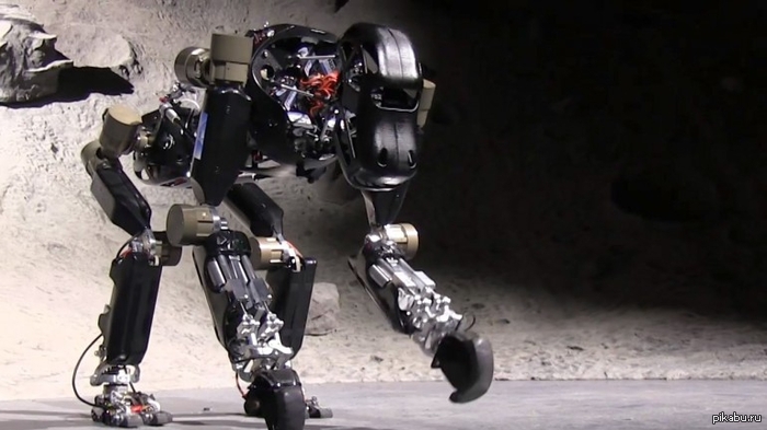 �����-��������: ������� ������ ��������?