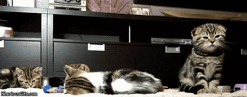 ������� ������! ����������!