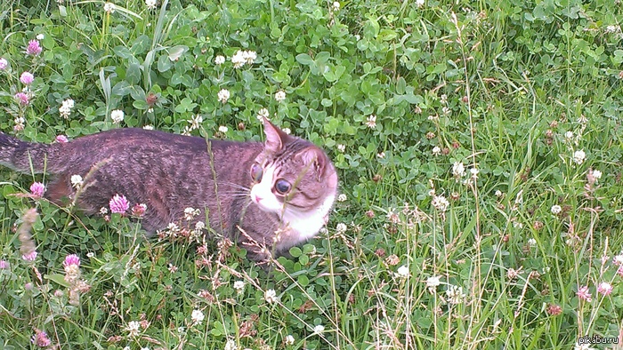 ������� �������� ��� ������ ����...