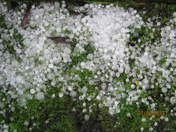 Крупный крад