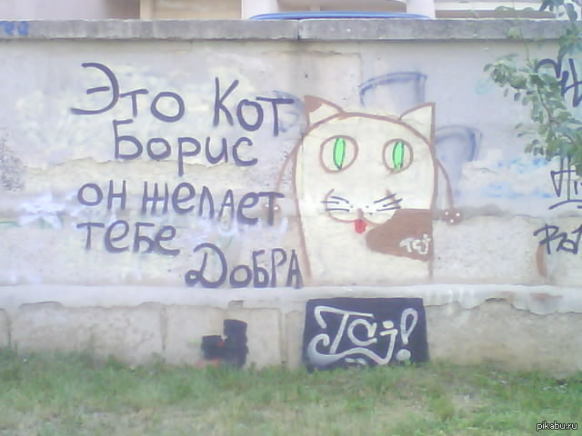 Минутка добра