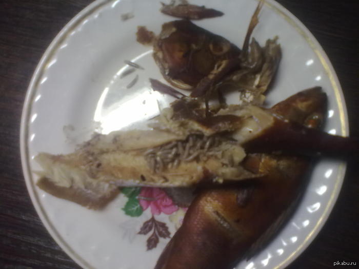 ����� ����� ����������