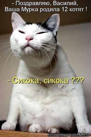 ��������)))