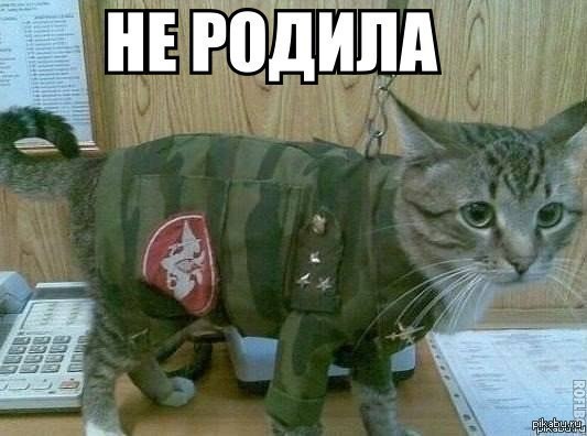    ...         .)