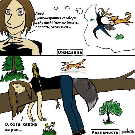 ����� �� ����� ��� 40