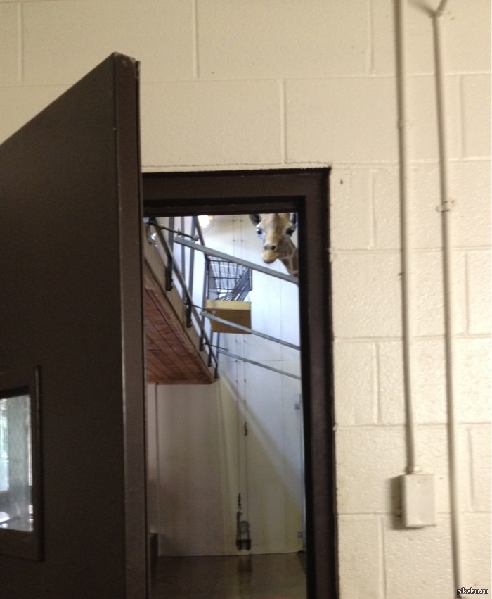 �� �������� �� �����!!!1