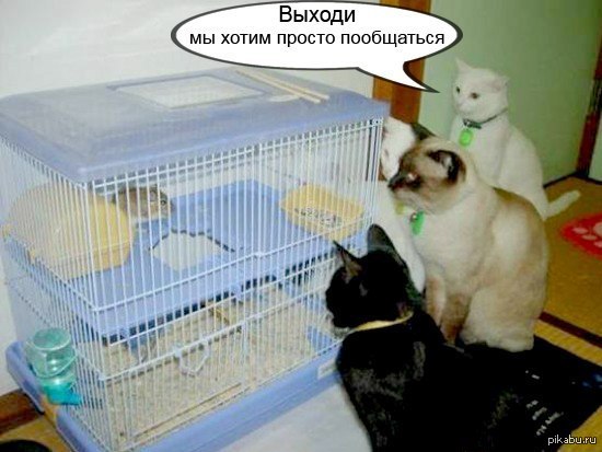 ������ ����������..