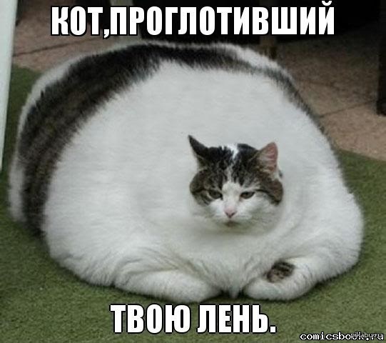 Толстокот) | Пикабу
